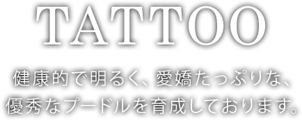 健康的で明るく、愛嬌たっぷりな、優秀なプードルを育成しております。